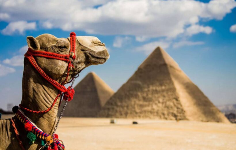 Pyramids & The Egyptian Museum