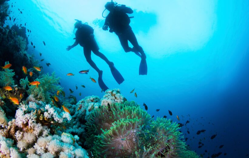 From Hurghada: Introduction Diving In Red Sea