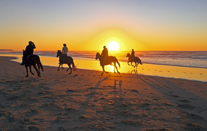 2 hours Horse Riding 1H on The sea And 1H in Desert From Hurghada