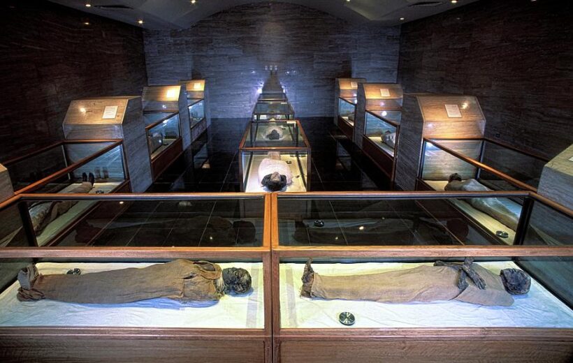 Explore The Mummies in The Egyptian Museum in a Private Tour