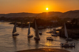 Gallery Thumbnail 1